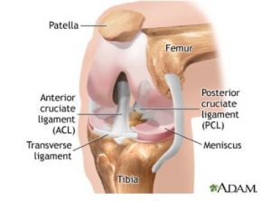 Οστεοπόρωση - αρθροπλαστική γόνατος και ισχίου